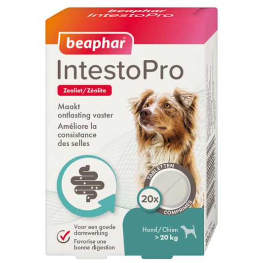 Beaphar - IntestoPro Hond - >20kg - 20 tabletten