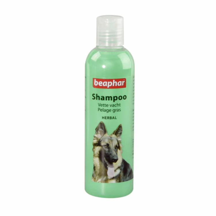 Beaphar - Shampoo für fettiges Fell - 250 ml