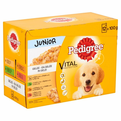 Pedigree - Vital Maaltijdzakjes Junior in gelei - Hondenvoer - 12x100g